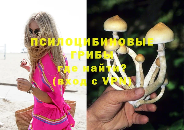 ешки Россошь