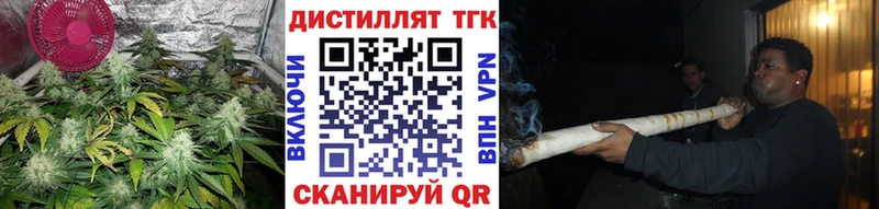 закладка  Лермонтов  Дистиллят ТГК THC oil 
