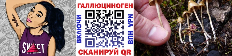 Галлюциногенные грибы GOLDEN TEACHER  купить наркоту  blacksprut маркетплейс  Лермонтов 